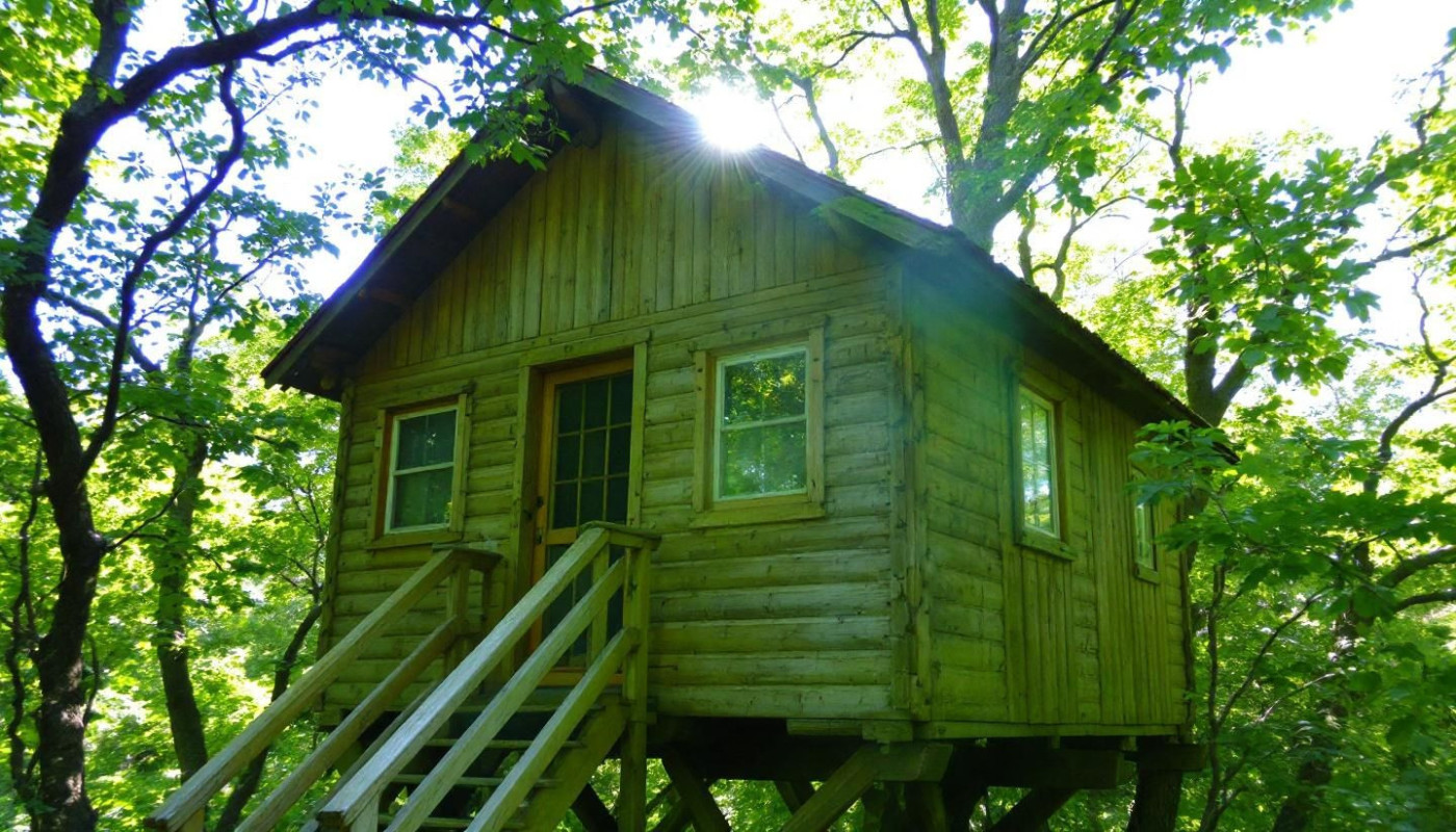Comment préparer votre séjour en cabane arborée pour une expérience inoubliable